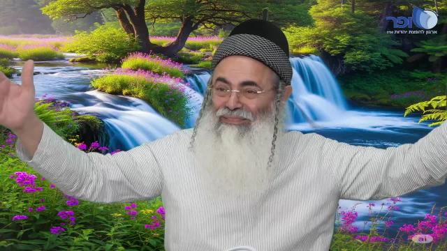 פרפראות וחדושים לפרשת ויצא תשפ"ו