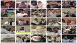 מיקס 50 שאלות ותשובות חלק 106